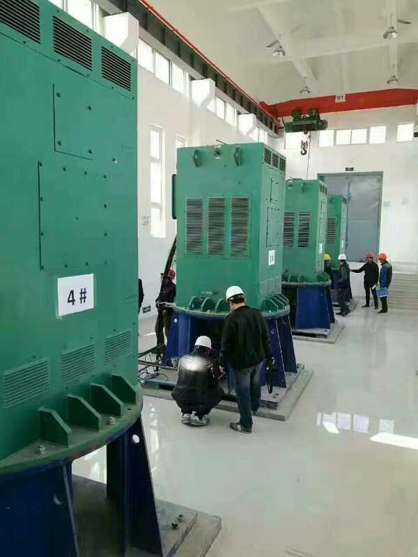 海陵某污水处理厂使用我厂的立式高压电机安装现场